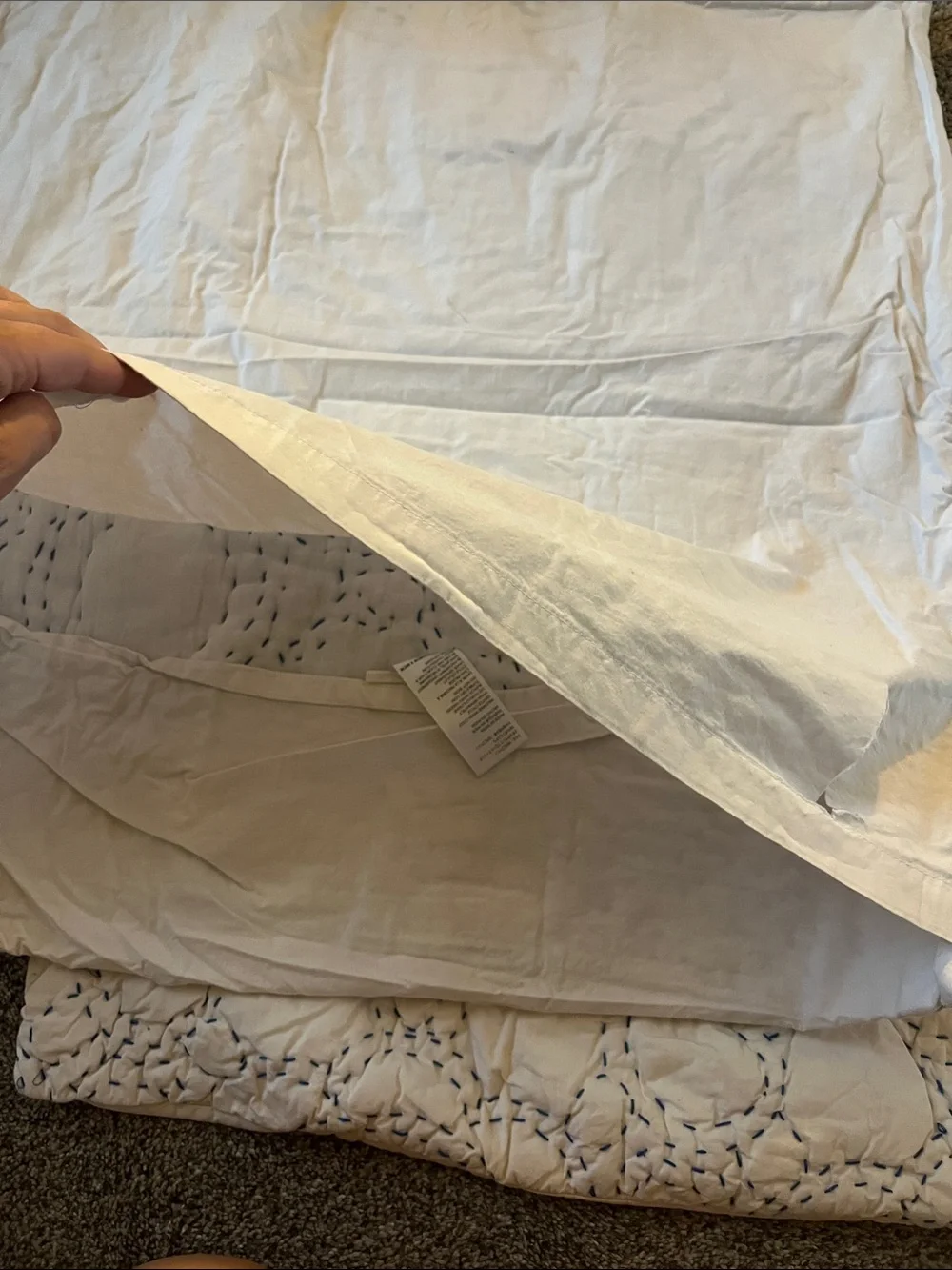 Anthropologie embroidered cotton Euro shams (2)